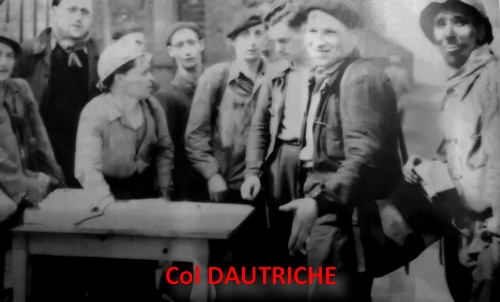 dautriche01.jpg