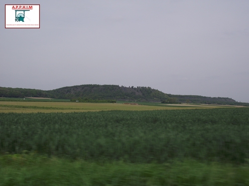 course01.JPG
